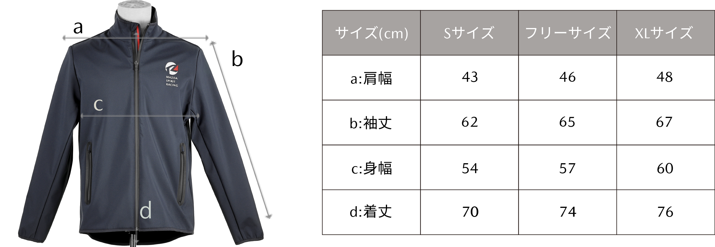 サイズ表