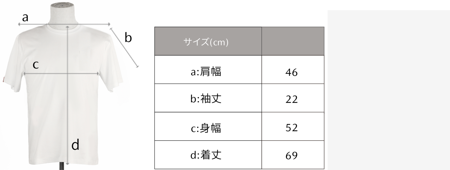 サイズ表